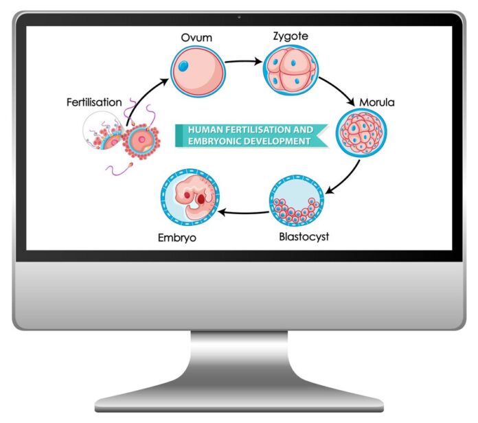 Reproductive Technology