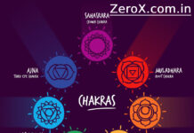 what chakra relegates the sexual organs