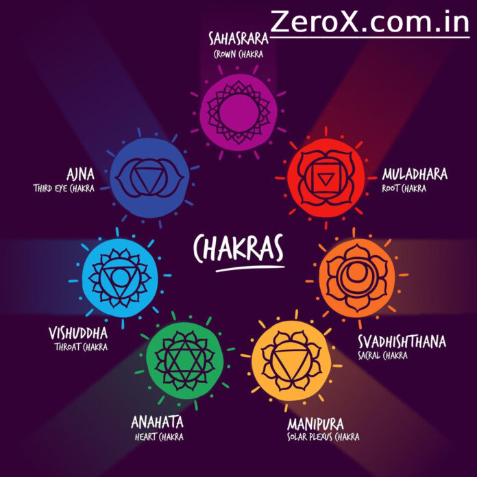 what chakra relegates the sexual organs