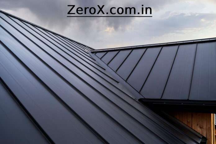 z16 perforated zee picture